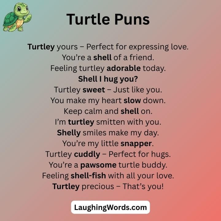 Cute Turtle Puns