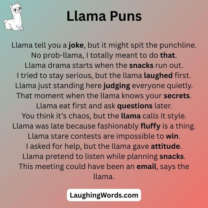 Funny Llama Puns