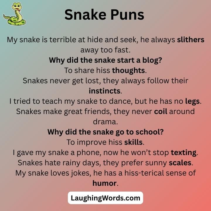 Funny Snake Puns