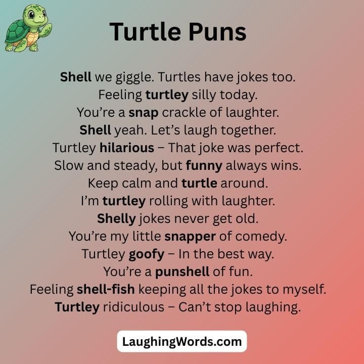 Funny Turtle Puns