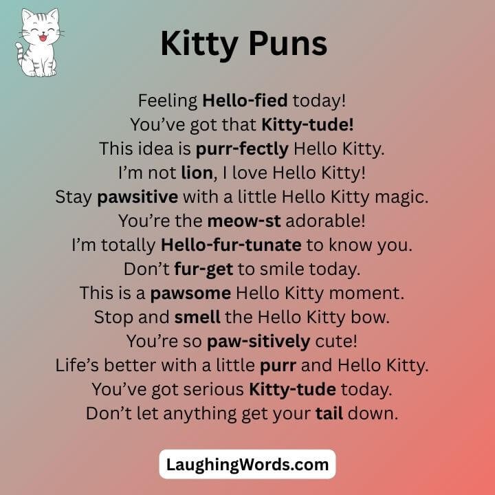 Hello Kitty Puns 