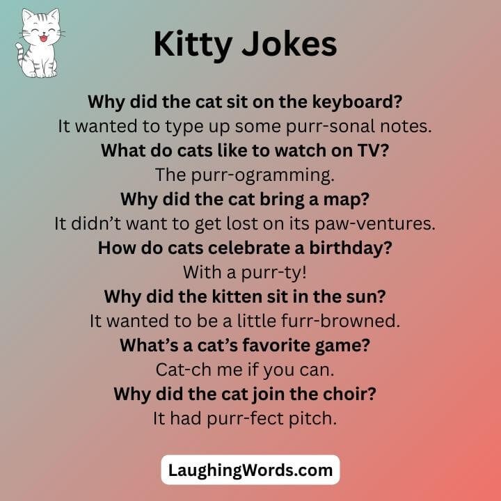 Kitty Cat Jokes