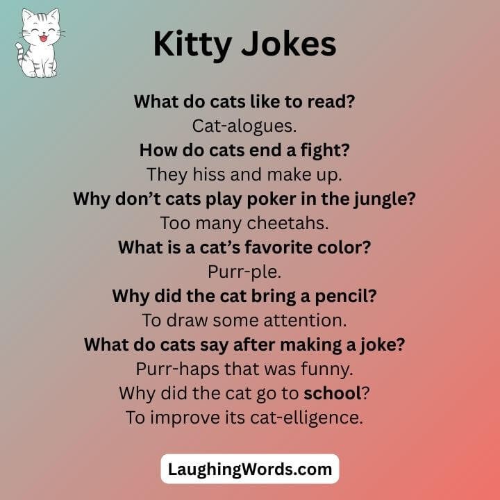 Kitty Jokes
