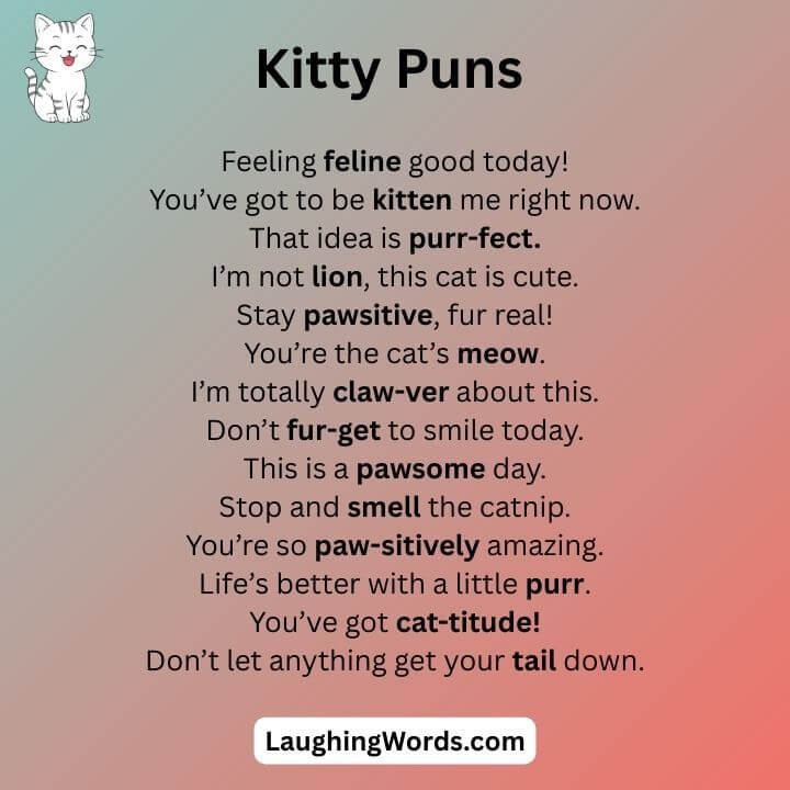 Kitty Puns 