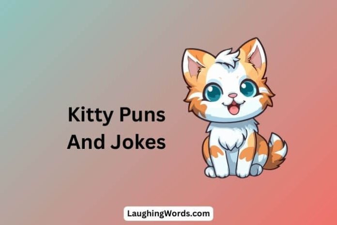 Kitty Puns And Jokes
