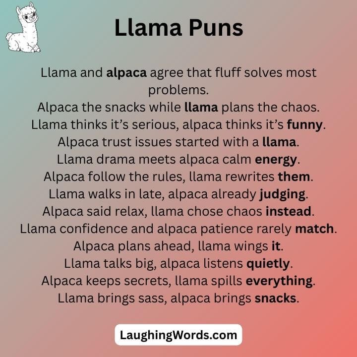 Llama Alpaca Puns