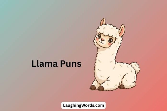 Llama Puns