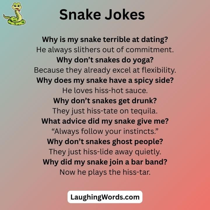 Snake Jokes for Adult