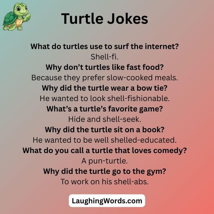 Turtle Dad Jokes