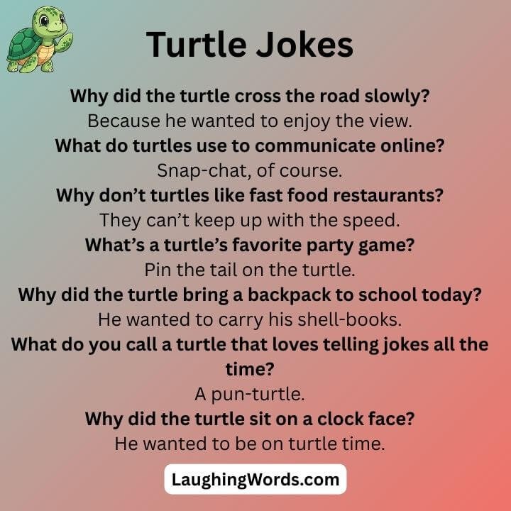 Turtle Jokes