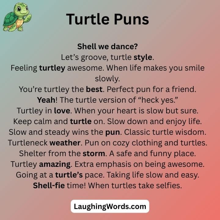 Turtle Puns