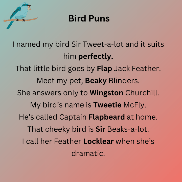 Bird Puns Names