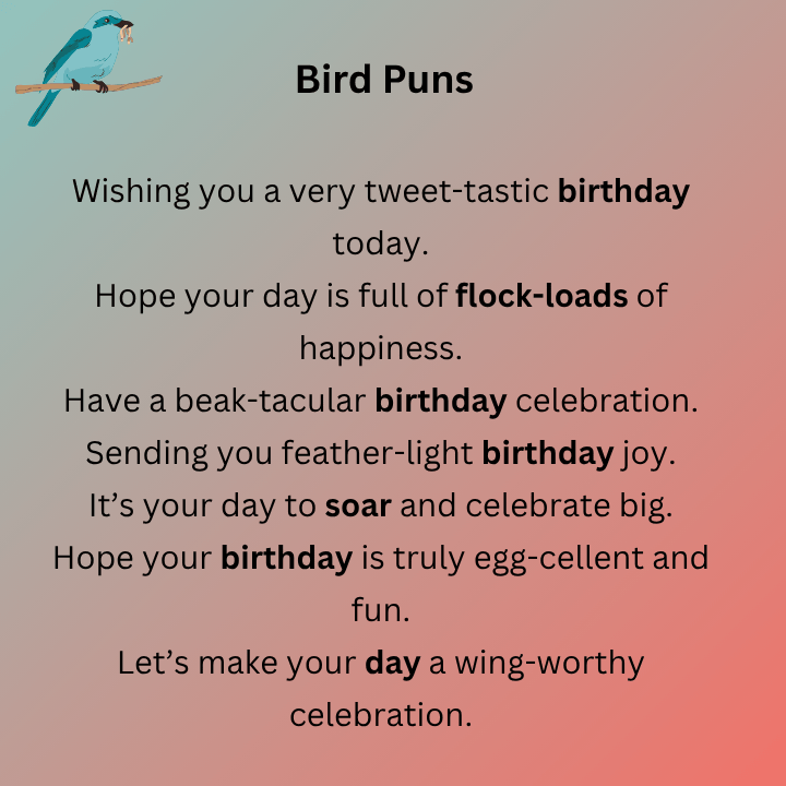 Birthday Bird Puns=