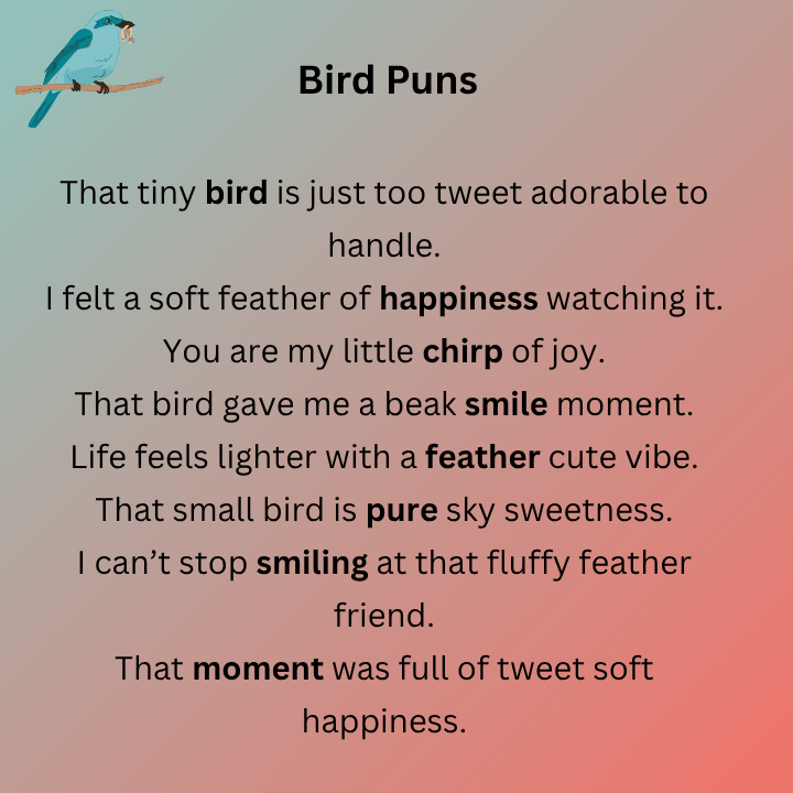 Cute Bird Puns