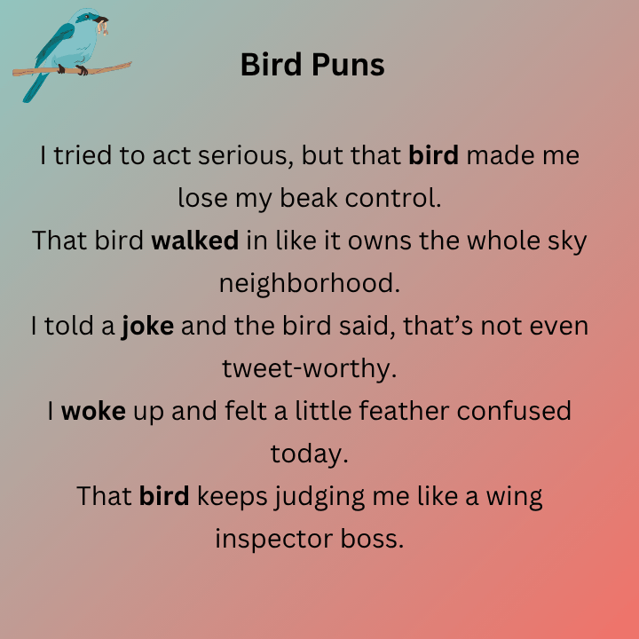 Funny Bird Puns