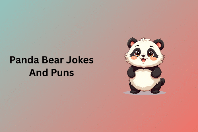 Panda Bear Jokes And Puns