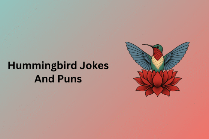 Hummingbird Jokes And Puns