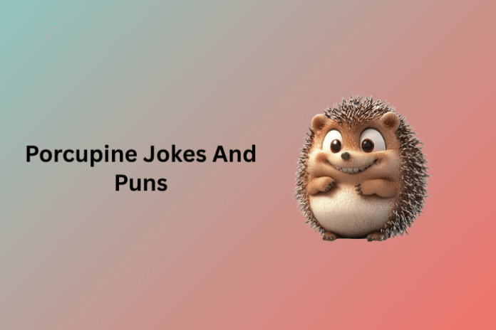 Porcupine Jokes And Puns