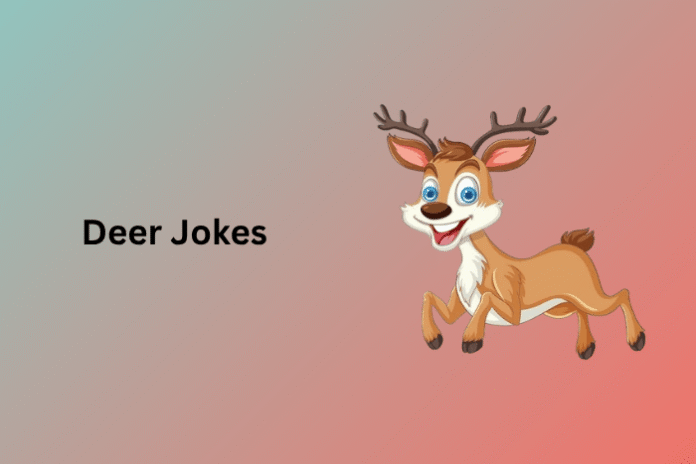 Deer Jokes